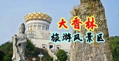 射进去了大屌~不要~视频中国浙江-绍兴大香林旅游风景区