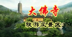 啊啊啊逼被干得好爽视频中国浙江-新昌大佛寺旅游风景区